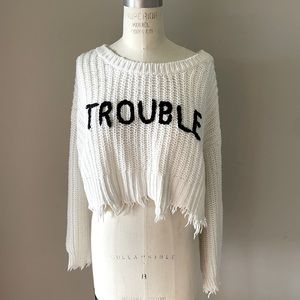 Wildfox Trouble Sweater 🦊